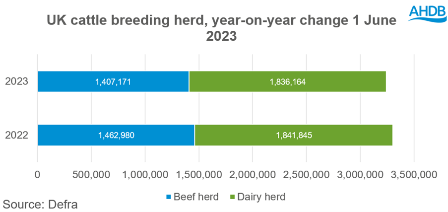 UK cattle breeding her YOY change - june 23